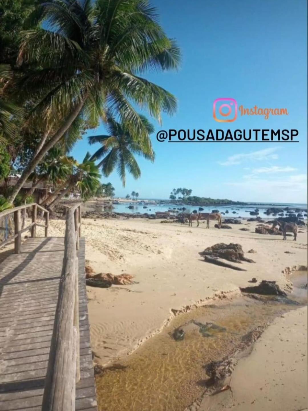 Pousada Gute Morro Morro de São Paulo Extérieur photo